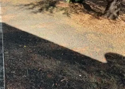 Affordable Landscaping Services in Matthews NC