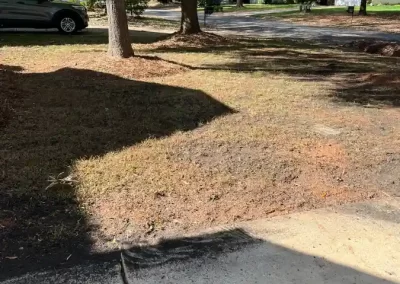 Landscape Company in Matthews NC