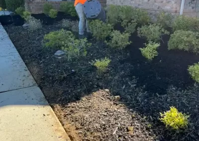 Landscape Maintenance in Matthews NC