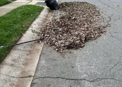 Landscaping Services in Matthews NC