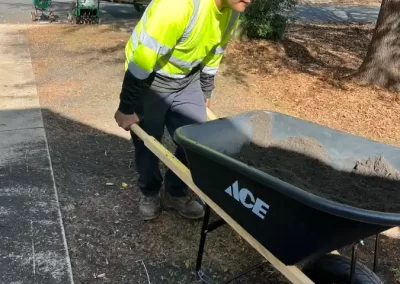 Local Landscaping Services in Matthews NC