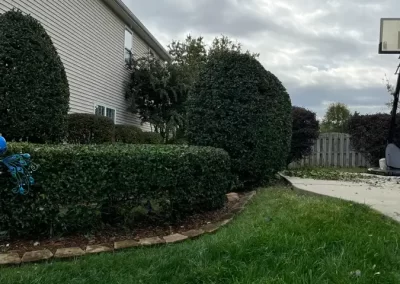 Professional Landscaping Services in Matthews NC