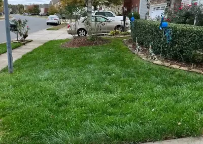 Reliable Landscaping Services in Matthews NC