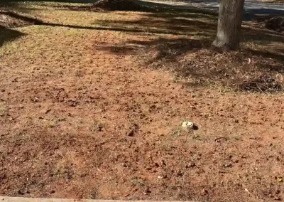 Trusted Landscaper in Matthews NC