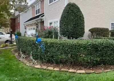 Trusted Landscaping Services in Matthews NC