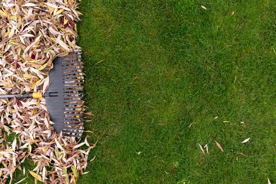 How Debris Removal Supports Lawn Health In Spring in Matthews, NC