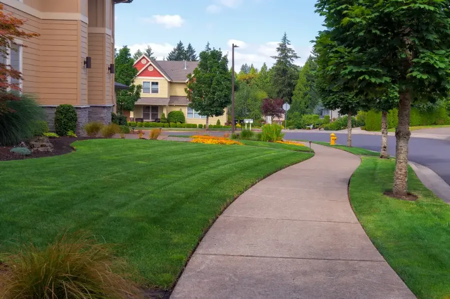 How Lawn Maintenance Supports Healthy Grass Growth in Matthews, NC